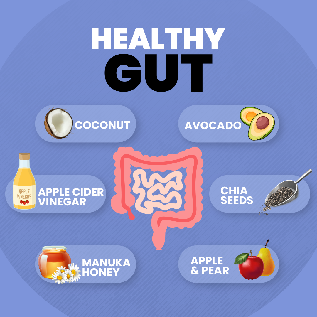 healing-and-gut-health-a-step-by-step-guide-to-healing-your-gut-jess