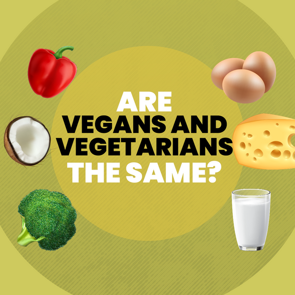 Are vegans and vegetarians the same?